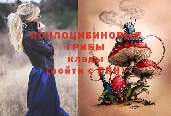 твердый Зерноград