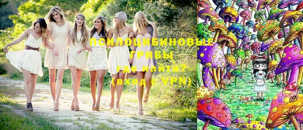 твердый Зерноград