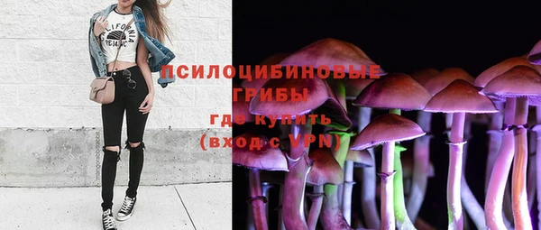 твердый Зерноград