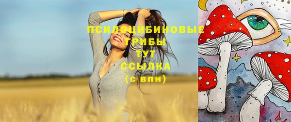 твердый Зерноград