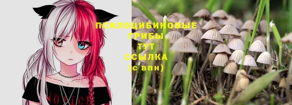 кокаин Зеленокумск