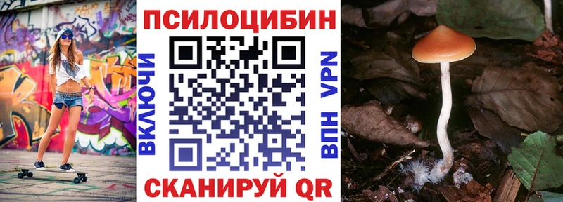 Псилоцибиновые грибы мухоморы  Купить  Александровск-Сахалинский 